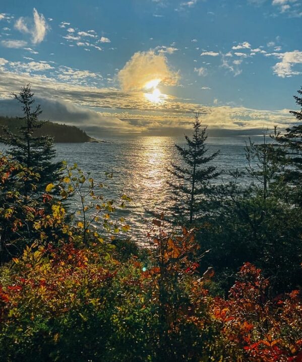 View from Ocean Path in Acadia National Park